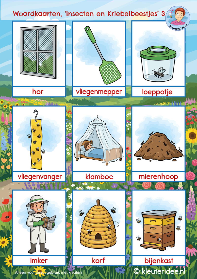 woordkaarten insecten en kriebelbeestjes kleuteridee